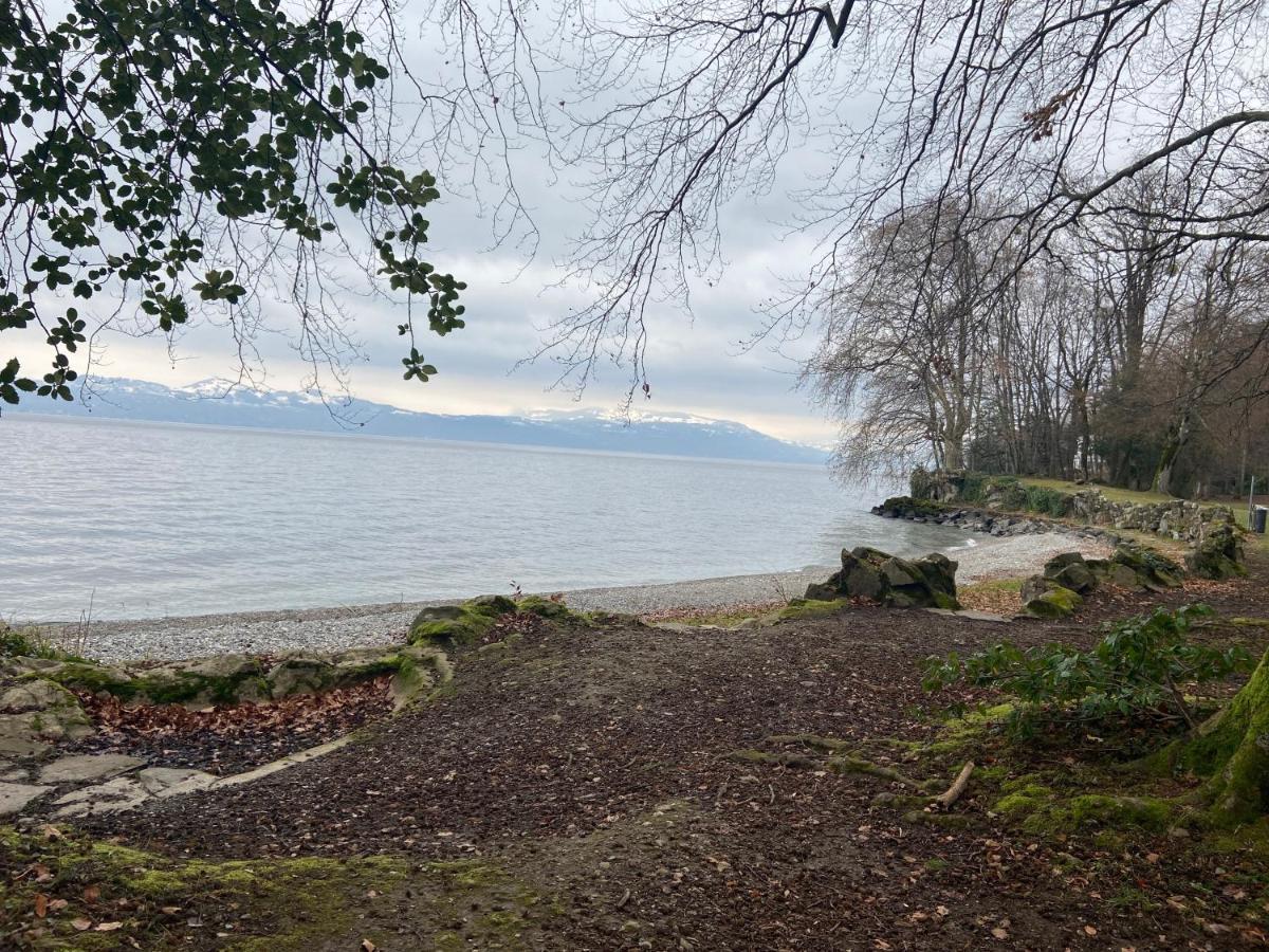 Bord De Lac,2 Chambres Superbe Vue Lac 5Mn Evian Lugrin Bagian luar foto