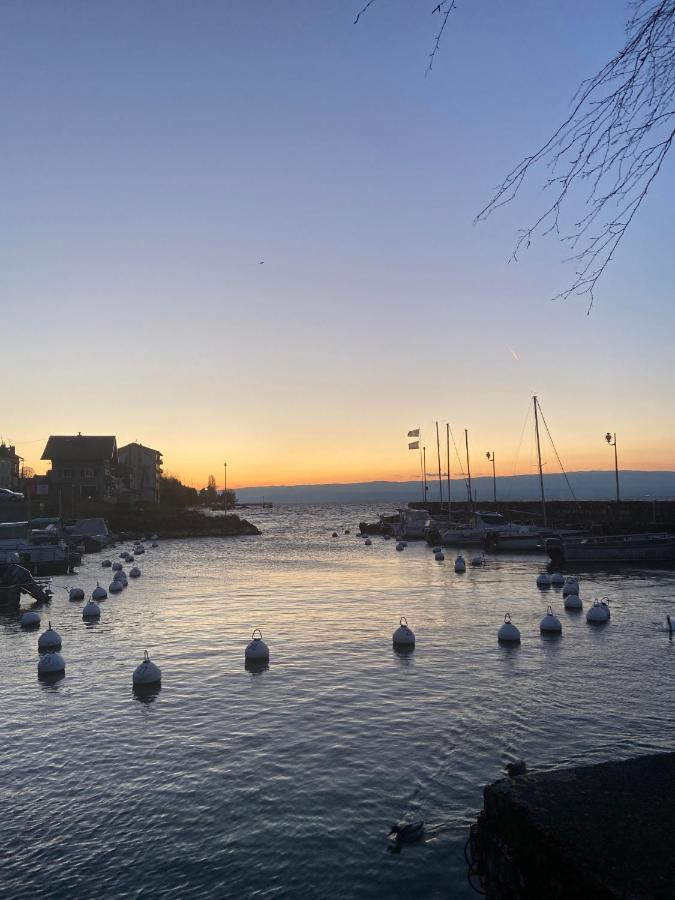 Bord De Lac,2 Chambres Superbe Vue Lac 5Mn Evian Lugrin Bagian luar foto
