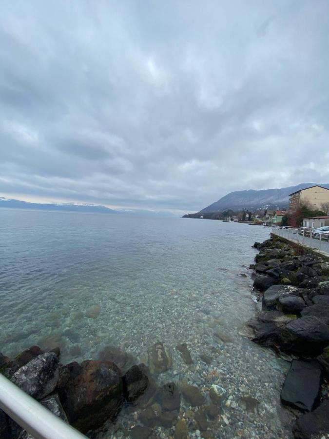 Bord De Lac,2 Chambres Superbe Vue Lac 5Mn Evian Lugrin Bagian luar foto