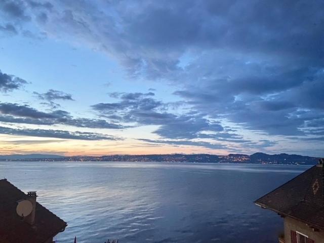 Bord De Lac,2 Chambres Superbe Vue Lac 5Mn Evian Lugrin Bagian luar foto